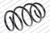 ROC CS7458 Coil Spring